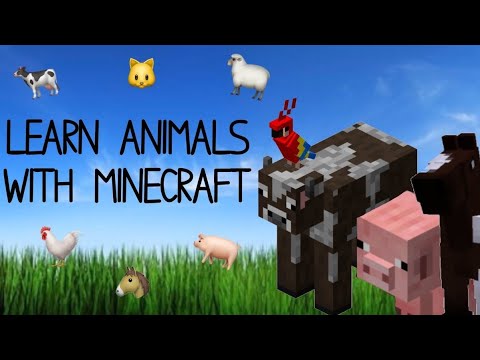 Learn Animals With Minecraft - YouTube