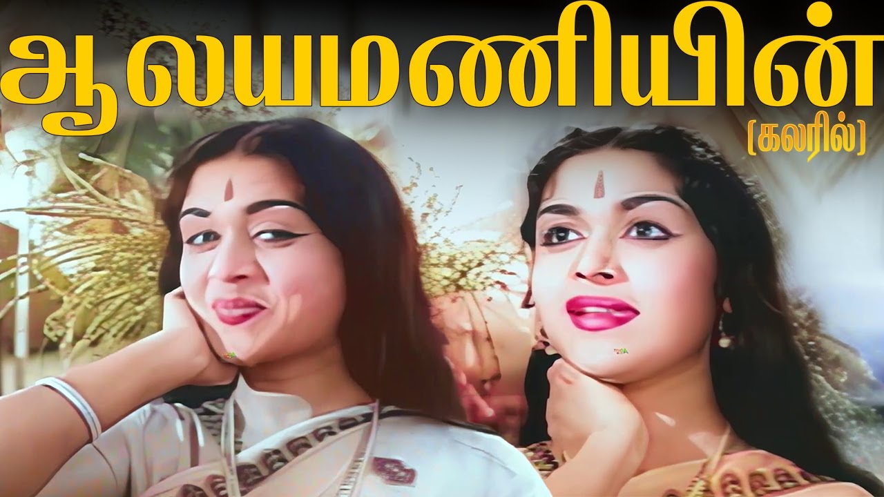 Jamoat transportida qiz yigitning jinsiy azosini silaydi (video) Tanlangan chex porno