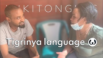 The Tigrinya language, casually spoken | Michael and Sennite speaking Tigrinya | Wikitongues