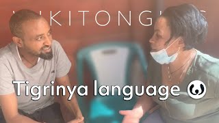 The Tigrinya Language, Casually Spoken Michael And Sennite Speaking Tigrinya Wikitongues