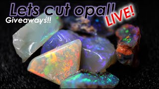 Live Opal cutting session Opal Giveaway Great Reveals all welcome #opal #gemstone #live