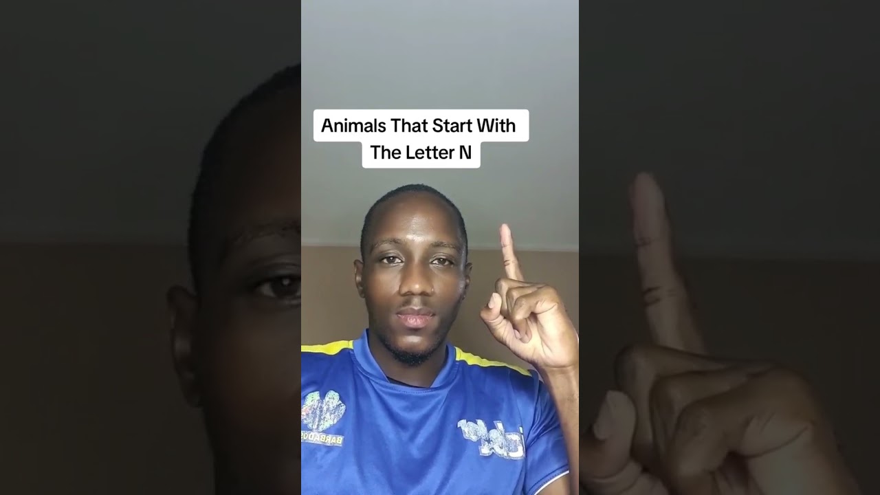 Animals That Start With The Letter N😯 