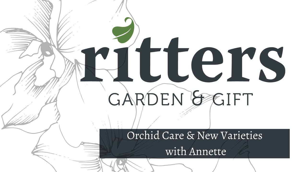 New Orchid Vanities & Care