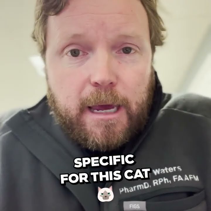 gabapentin compounded cats