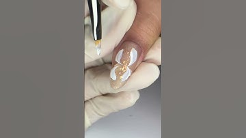 Hướng dẫn vẽ hoa cúc bằng cọ 💕