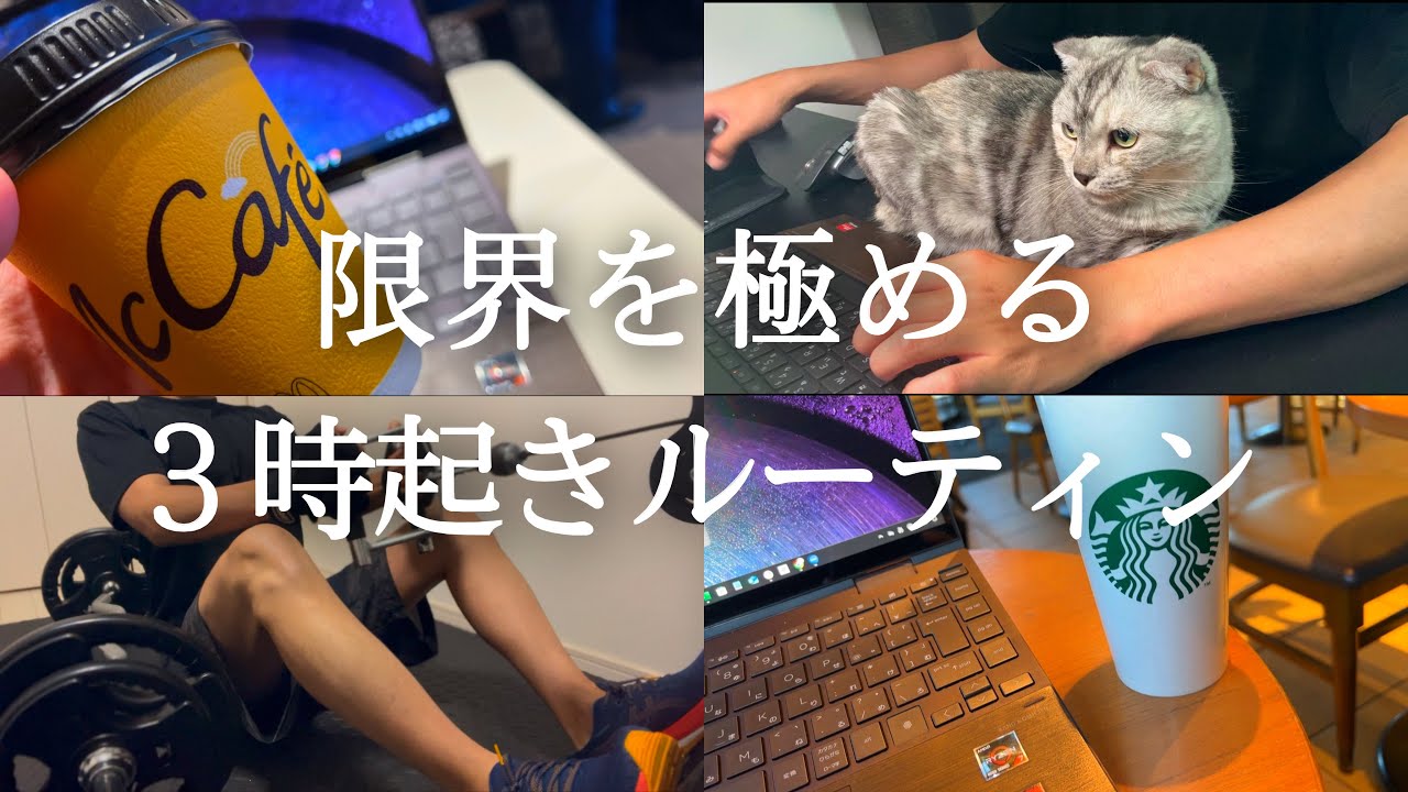3時起きへの挑戦。朝活ガチ社会人の平日ルーティン【Study vlog】