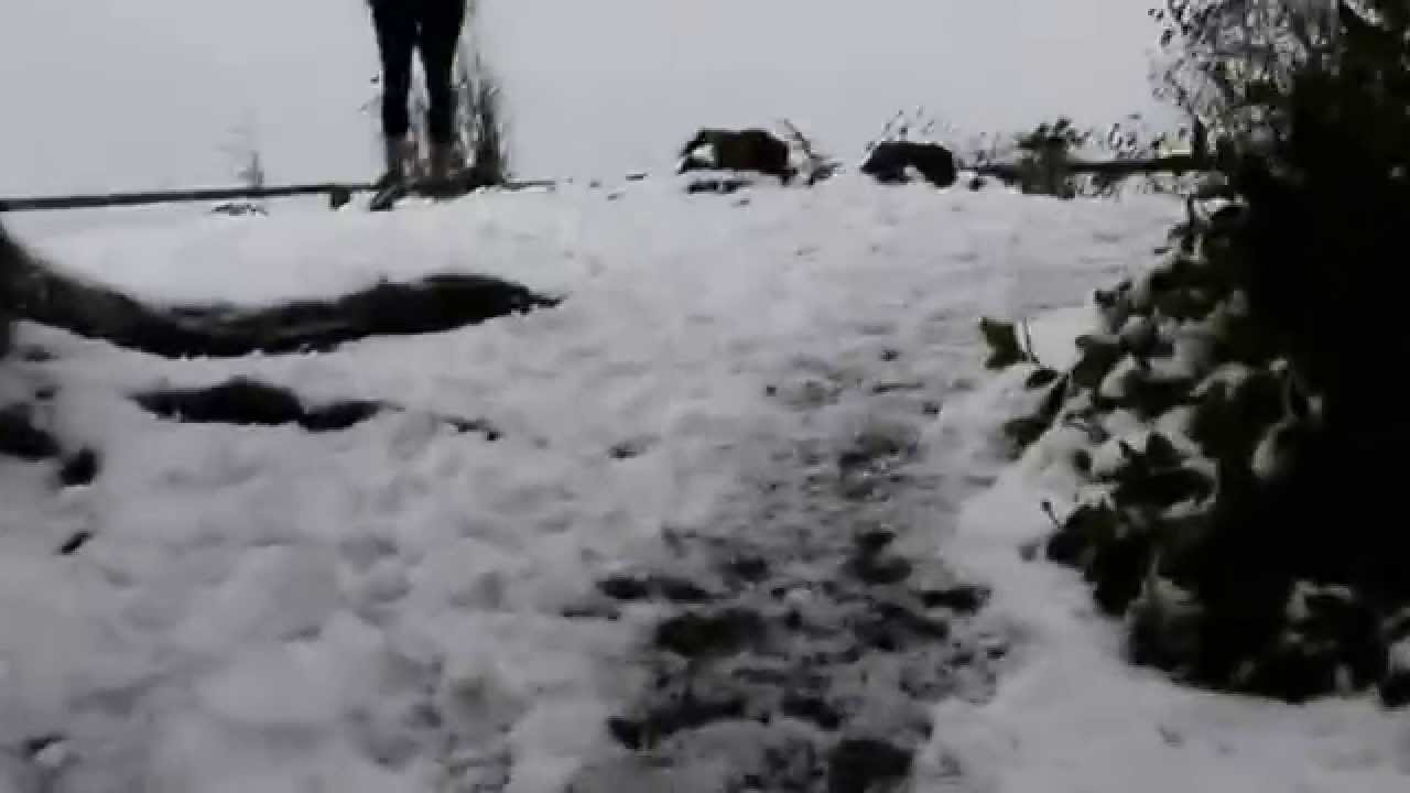 Mount Walker, wind, snow, rain