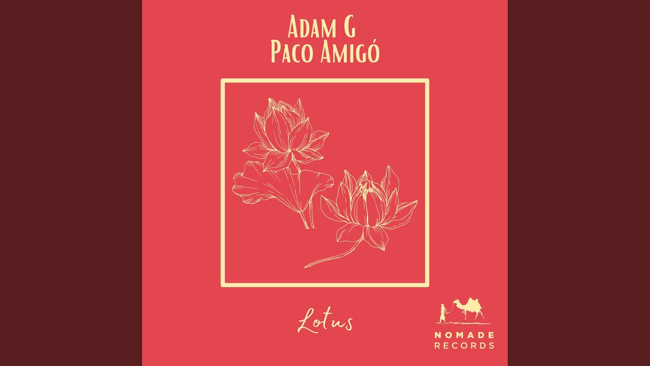 Watch Lotus on YouTube Watch Lotus on YouTube
