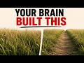 How Your Brain Forms Habits