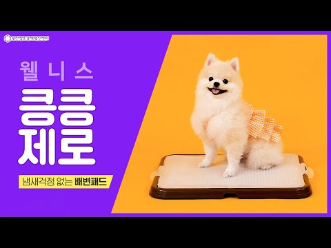 [웰니스] 냄새걱정 없는 배변패드, 킁킁제로