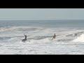 Wave of the Day: Ian Gentil, Mainland Mexico
