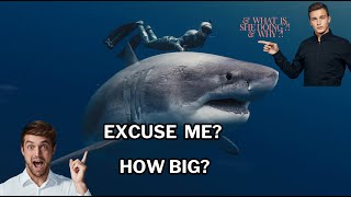 WHAT YOU SHOULD KNOW ABOUT SHARKS is the title of my 1st book. Check it out #OceanRamsey #Sharks #🦈
