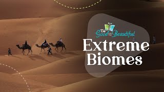 Extreme Biomes | Ecosystems | The Good and the Beautiful
