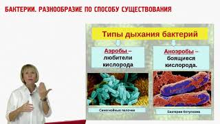 О ботексе - Ольга Бутакова