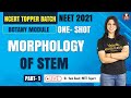 Morphology of Stem Part-1 | Botany Module | NCERT Topper Batch 2021 | Vedantu Biotonic for NEET