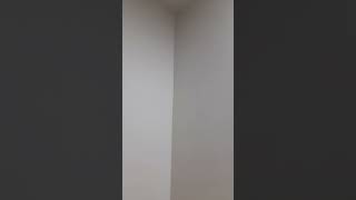 #loop #trending #short #viral?