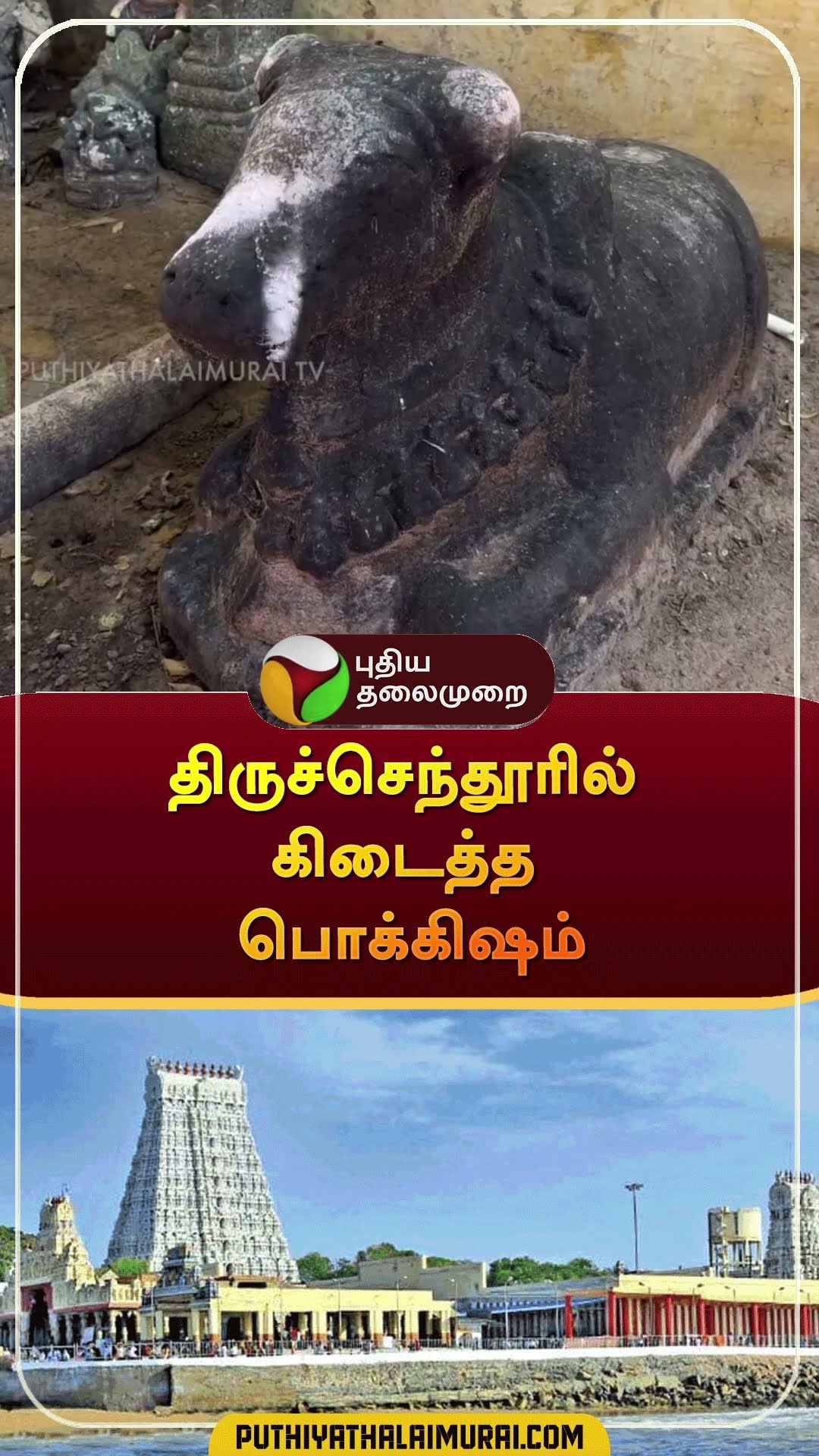 திருச்செந்தூரில் கிடைத்த பொக்கிஷம் | #shorts | #tiruchendur