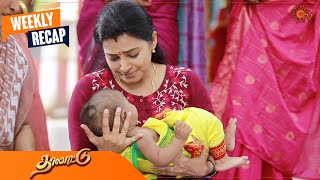 Thalattu - Weekly Recap | 19 June 2023  - 24 June 2023 | Sun TV | Tamil Serial