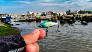 MICRO ISCAS NAS PEDRAS DA BOCA DA BARRA É AÇÃO GARANTIDA!!! Pescaria Ultralight