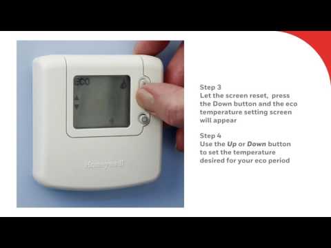 Using the Eco