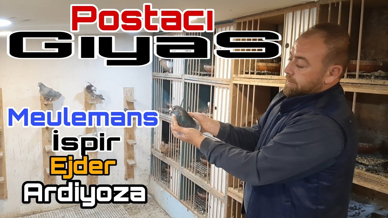 POSTACI GIYAS KÜMESLERİ BURSA