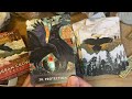 Urban Crow Oracle by MJ Cullinane