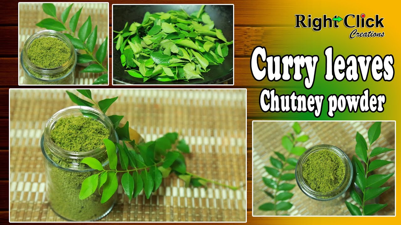 making of curry leaves chutney powder how to make curry leaves powder