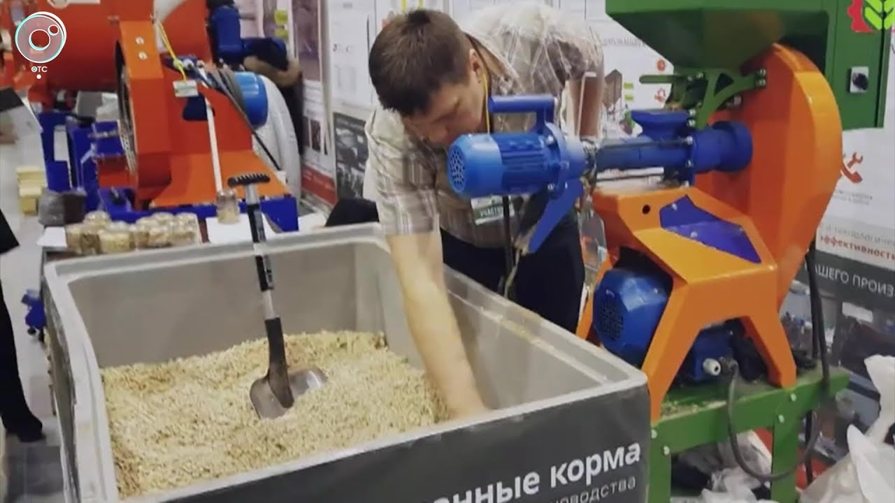 Киа производят в