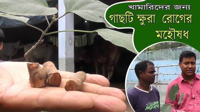 Anus pornosida yarim metr Ikki kishi oz xotinini qanday sikishganligi haqidagi hikoyalar