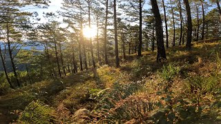 Mt. Ulap | GoPro Hero 10 Black Cinematic