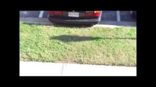 BALTIMORE COUNTY POLICE THREATEN US WITH EVICTION AFTER LANDLORD ATTEMPTS IMPROPER REPAIRS !!