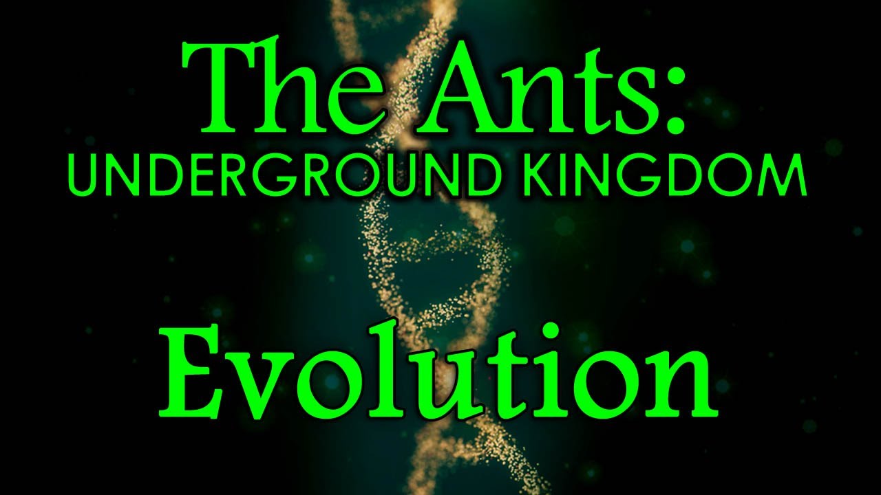 The Ants: Underground Kingdom - Beginners Guide - Evolution