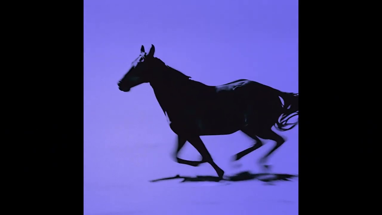 mmm -  magic black horse | emotional best lofi hiphop