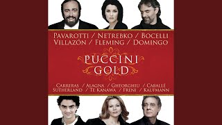 Puccini: La bohème, SC 67 / Act 1 - &quot;Che gelida manina&quot;