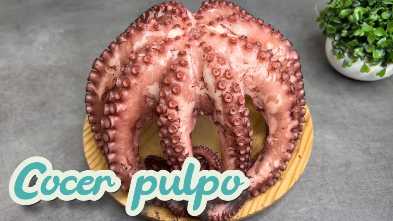 😋 COMO COCER EL PULPO🐙👩‍🍳 , te enseño los trucos para que quede tierno y entero #recetas