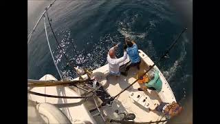 Canyon Tuna 6/9/18