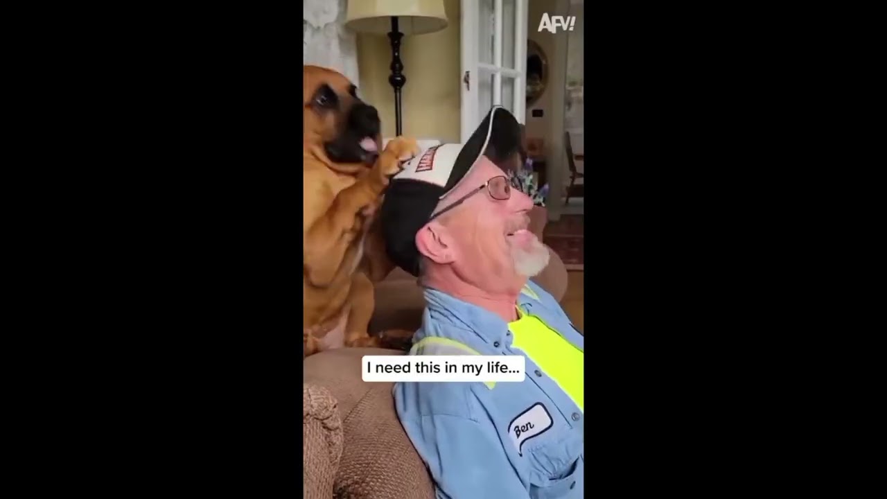 {4K VIDEO} ONE MINUTE OF EXTREME FUN THAT WILL BREAK YOUR RIBS.