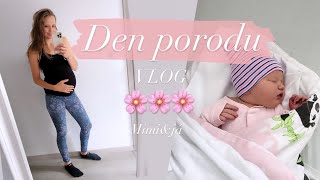 DEN PORODU 🤰💗 | Vítej na světě Belinko! | Mimi&já