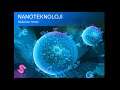 Nanoteknoloji