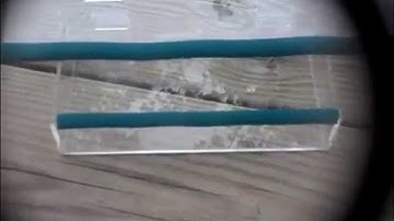 #yardiculture Window Bird Feeder ExperimentalHomesteader.com