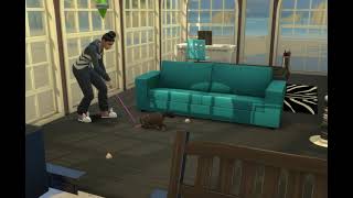 SIMS 4 Laser pointer with Cat screenshot 5