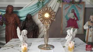25/08/26 - Rosaire Saint Louis - 800 ans de son sacre
