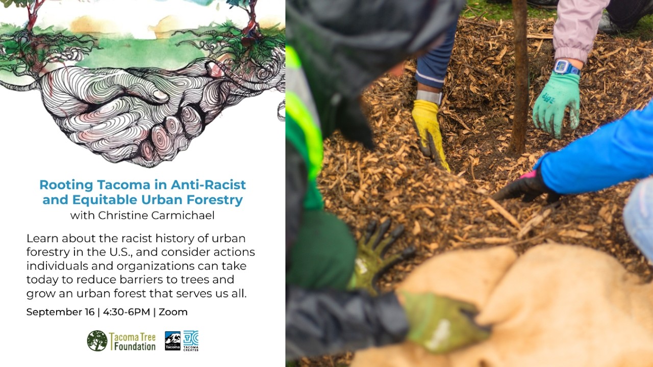 Rooting Tacoma in Anti Racist and Equitable Urban Forestry | September 16, 2025