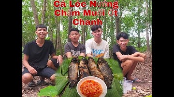 Phước Hào Vlog-Vlog 2 | Cá Lóc Nướng Chấm Muối Ớt Chanh
