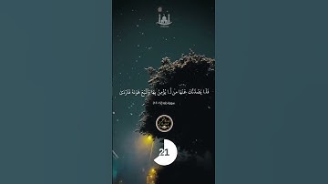 #تلاوة  فجر رمضان.. أنفاس هادئة وآيات تتغلغل في الروح #الصلاة #قرآن #راحه_نفسيه