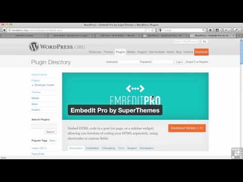 0309 Using Custom Fields   Part 1