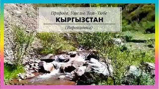 182. Киргизия. Природа Кыргызстана. Ущелье Таш-Тюбе (Воронцовка).