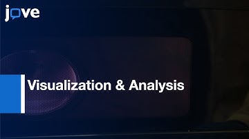 Visualization & Analysis: mRNA Molecules By FISH: Saccharomyces cerevisiae l Protocol Preview