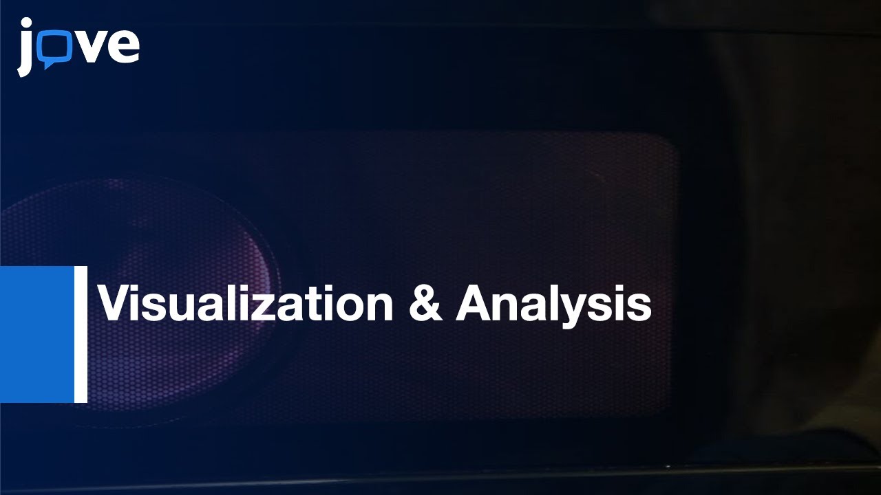 Visualization & Analysis: mRNA Molecules By FISH: Saccharomyces cerevisiae l Protocol Preview