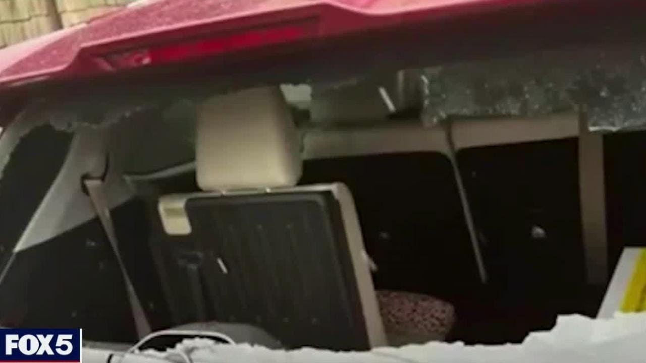 Thieves steal $3,000 purse from car